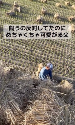 「あそんでぇぇ」