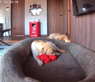 投稿主さんのジャージ！！