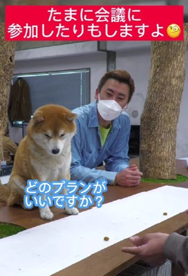 プランを問われると…