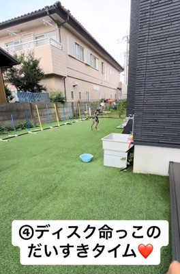 フリスビーをキャッチするみかづきちゃん