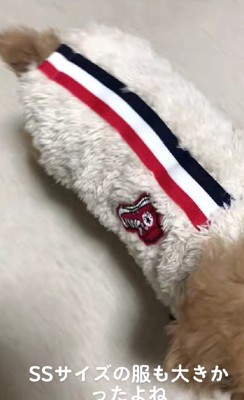 どんな服もブカブカ…