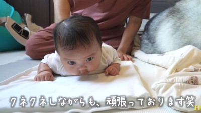 赤ちゃんは真剣な顔つきに！