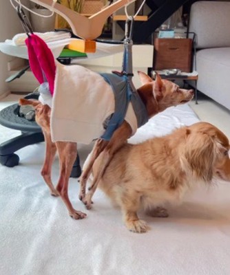 「あれ?進めない…」