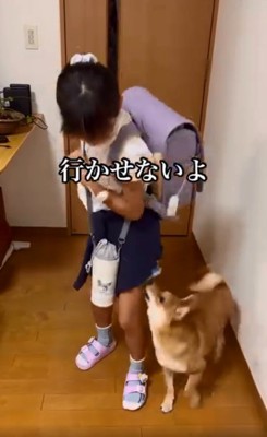娘さんの登校を阻止するソラちゃん