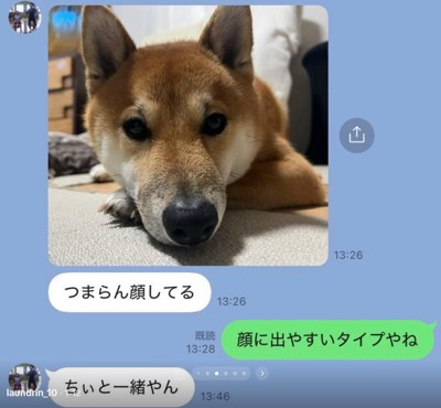 退屈そうなふうたくん