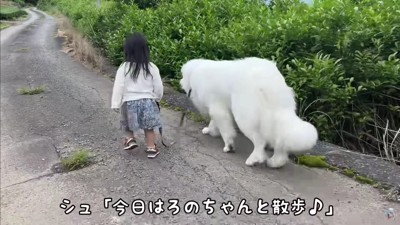 LONOちゃんとの散歩が大好き♡