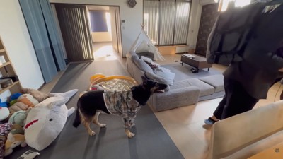 出勤する日の朝はソワソワ…