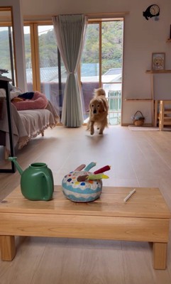 お手伝いをするホット君3