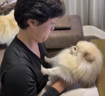 真剣な目で相手を見る犬