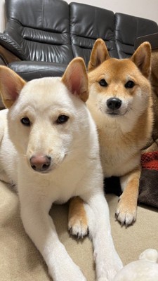 仲良しで可愛い♡