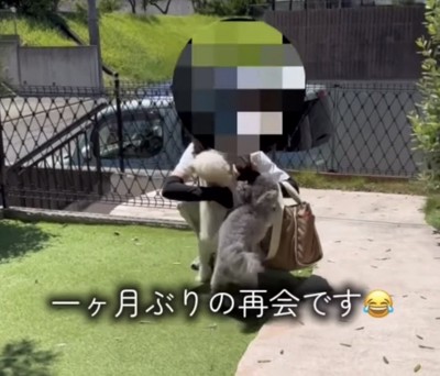 ママに飛びつく2匹