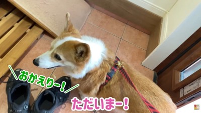帰宅したら、お姉ちゃんの声が!