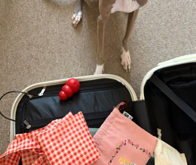 おもちゃを入れたプット