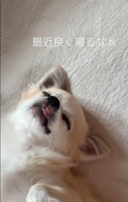 現在のアム君の様子3