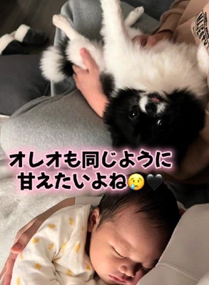 甘えたいときもあるけど…