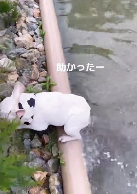 自力で脱出成功!