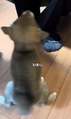 おかえり～！！