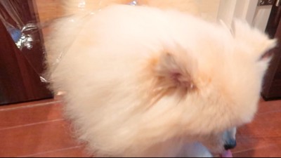 あっさり通り抜けてしまいました