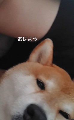 目覚めの瞬間も添い寝