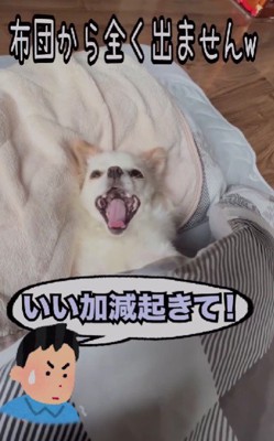 なかなか起きない