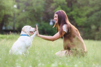 手を合わせる犬と女性