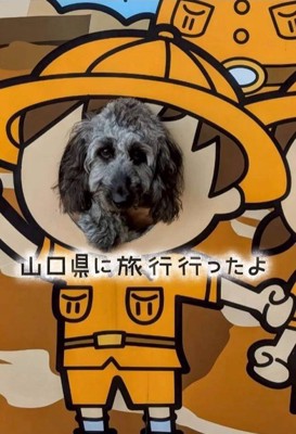 幸せを掴んだオレオくん8