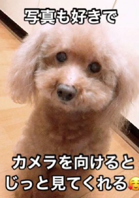 写真を撮られることが好き