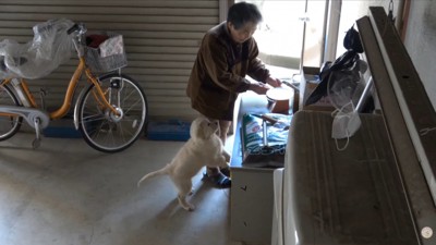 おばあちゃん登場