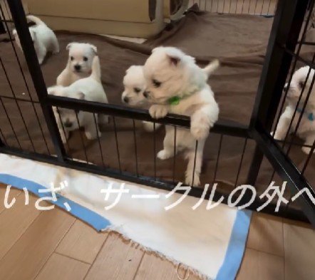 新しい世界へ冒険♪