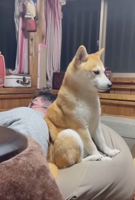 男性の背中にお尻を当てて動かない犬