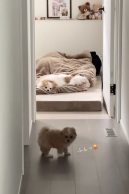 ちょっとお怒り！