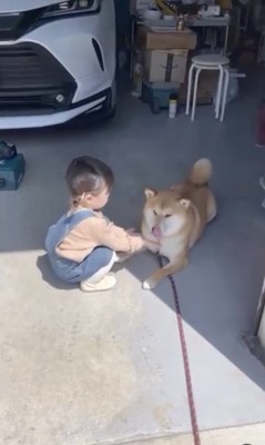 まったりと触れ合い