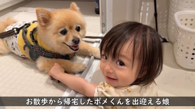 女の子がポメくんをお出迎え