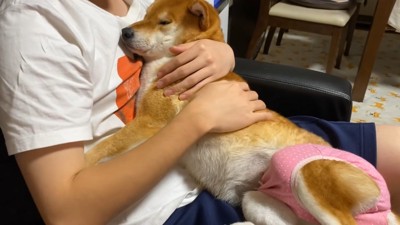 お兄ちゃんにベッタリ♡