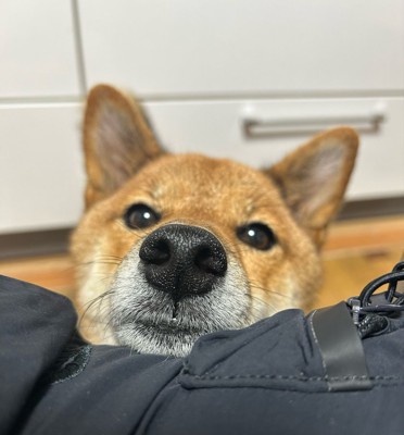 きゅるん