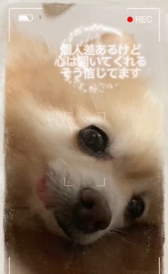 まりもちゃんの変化9