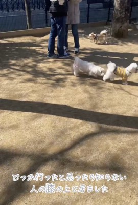 ノアちゃんはどこ！？