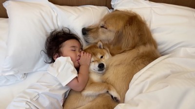 いい夢みれそう！