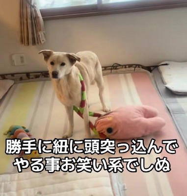 お笑い担当かな!?