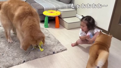ときには喧嘩しても…