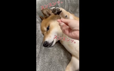 次々かわす