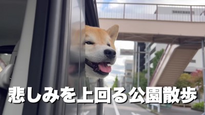 公園が近づくと笑顔に!