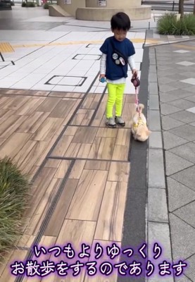 うにちゃんを見る男の子