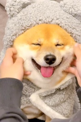 癒しの表情も魅力的