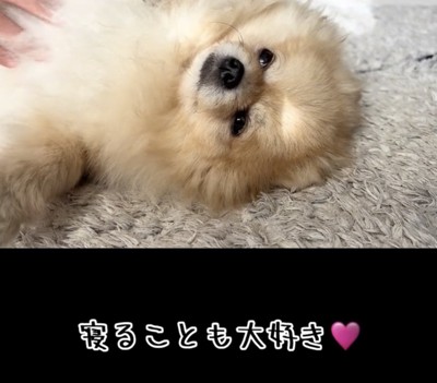 心おだやかな毎日