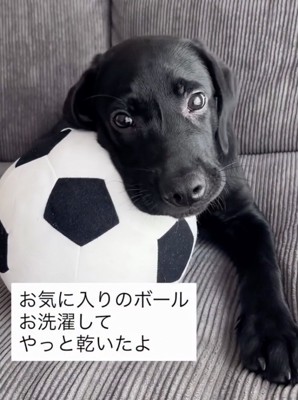 大好きな「相棒」