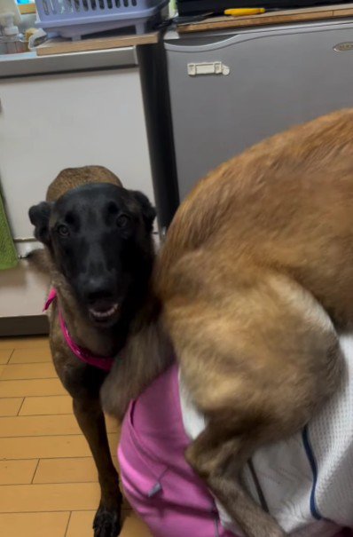 シオンちゃんが順番待ち