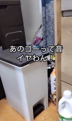 掃除機を怖がるゆきちゃん