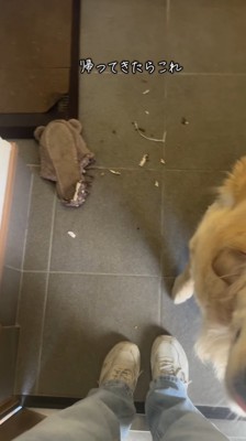 犬に食いちぎられたスリッパ