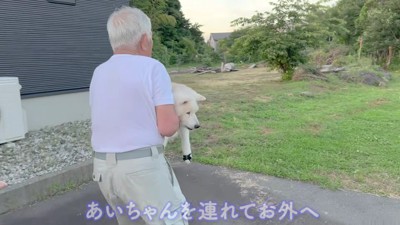おじいちゃんと庭へ